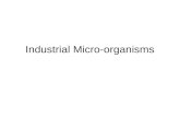Industrial Micro Organisms(I)