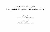 Punjabi English Dictionary Dunwoody Press