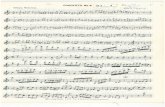 Paganini-Concerto-N4 Violon