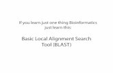 Homology Search: Basic Local Alignment Search Tool (BLAST)