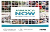 Jamaica Now Action Plan