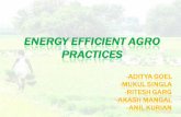 Energy Efficient Agro Practices_Group 2.ppt