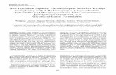 Epilepsia Volume 36 Issue 3 1995 [Doi 10.1111%2Fj.1528-1157.1995.Tb00993.x] Wolfgang Löscher; Dagmar Hönack; Angelika Richter; Hans-Ulrich -- New Injectable Aqueous Carbamazepine