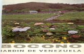 1966 Bocono Jardin de Venezuela