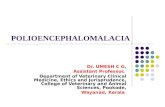 Polioencephalomalacia in goats