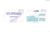 Lipid, Membrane and Celullar Transport