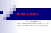 Iugr and Iufd