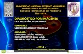 Seminario - Úlceras Benignas y Malignas
