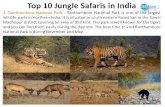 Top 10 Jungle Safaris in India