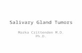 Salivary Gland Tumors