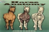 Horse Anatomy Dover Nature Coloring Book