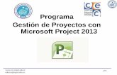 Ms Project Basic v 2013 (v1)