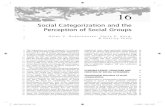 Social Categorization and the Perception of Social Groups