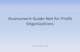 Assessment Guide Non Profit Organizations