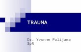 17. Dr. Yvonne - Trauma