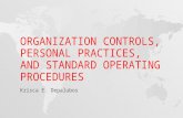 Organization Controls, Personal Practices, And Standard