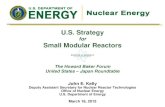 U.S. Strategy for Small Modular Reactors