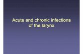 Atlas of Acute and Chronic Laryngitis