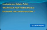 Penatalaksanaan Diabetes Terkini Penanganan Awal Bagi Dokter Umum