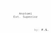 Anatomi Ext. Superior Soca