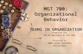 Teams in Organizations- Ind Present