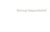kuliah Biologi Reproduktif1