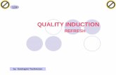 Quality Induction (Coal Mining in Pit)2