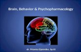 Brain, Behavior & Psychopharmacology