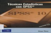 +Tecnicas Estadisticas SPSS - Perez.pdf