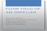 Flow Field of an Impeller