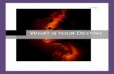 What is Your Destiny