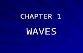 Chapter 1 Waves