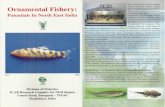 Ornamental Fishery Potentials in North East India