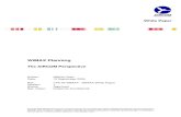 WiMAX White Paper - V1 - Approved