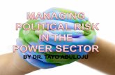Managing Political Risk in the Power Sector
