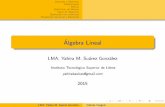 Matrices y determinantes.pdf