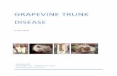 Newsome Trunk Diseases Review July 2012