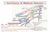 Axillary & Median Nerves by CK