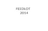 Feedlot 2014