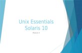 UNIX Essentials Module 4