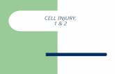 01-Cell Injury Handouts