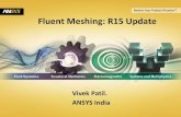 Fluent Meshing R15-Vivek