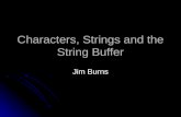 Chapter 7 - Characters Strings