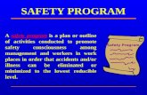 Safety Program (d1)