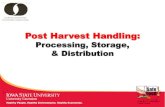 Gaps Post Harvest