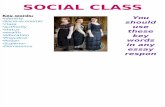4- Social Class Essay Plan and PDCC Egs