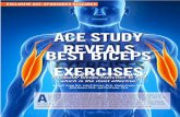 ACE Biceps Study