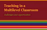 Teaching ESL in a Multilevel Classroom