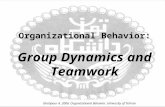 7 Groups Dynamics&Teamwork