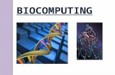 Bio Computing Done